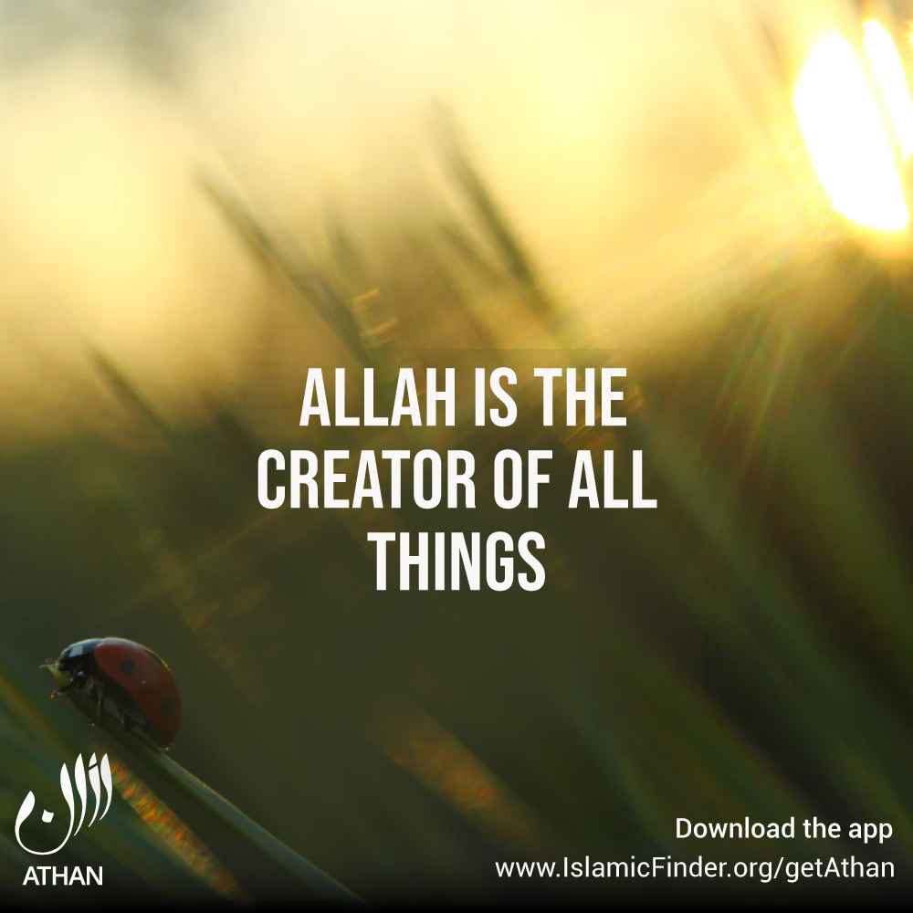 Al khaliq (The Creator)