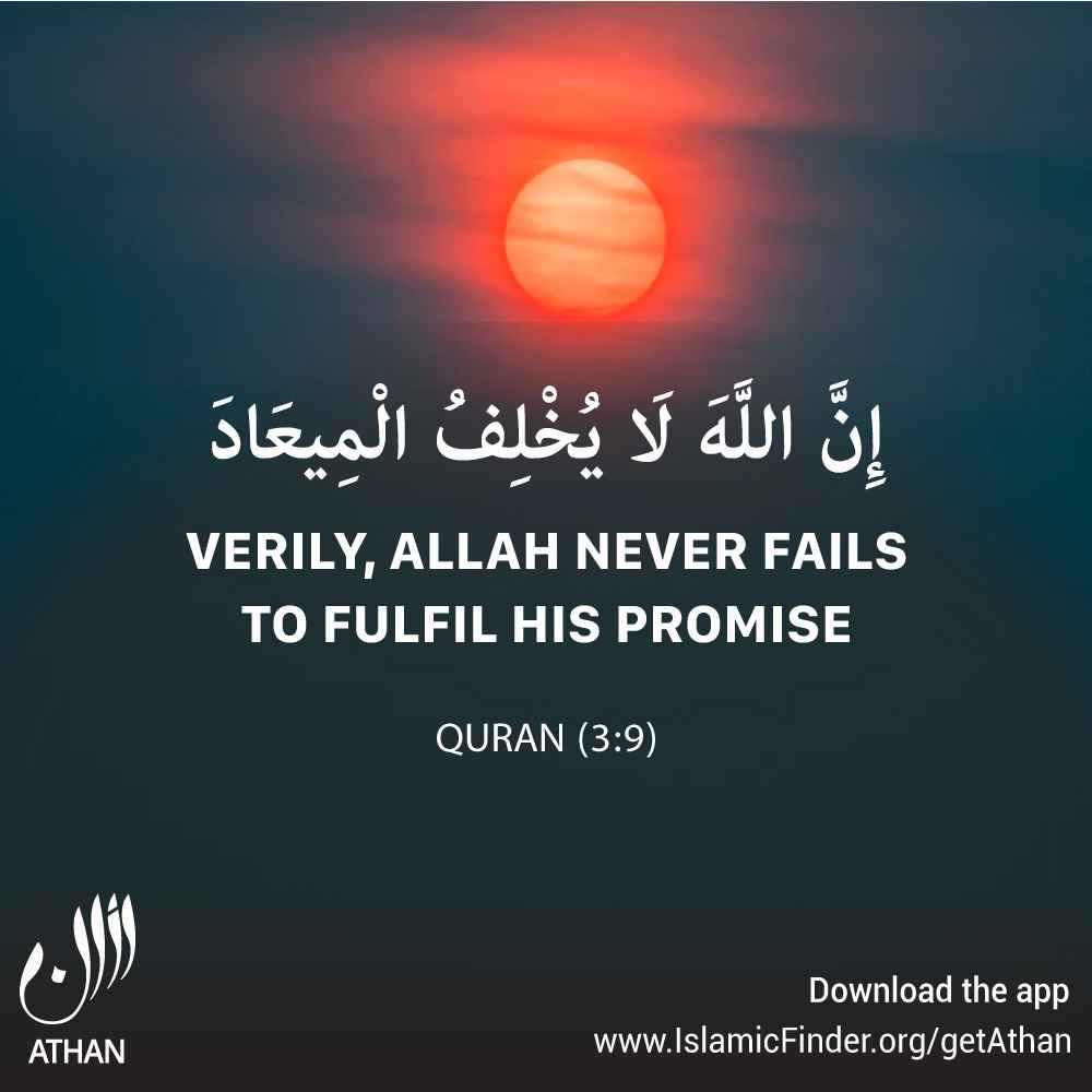 Promises of Allah Almighty to the Believers