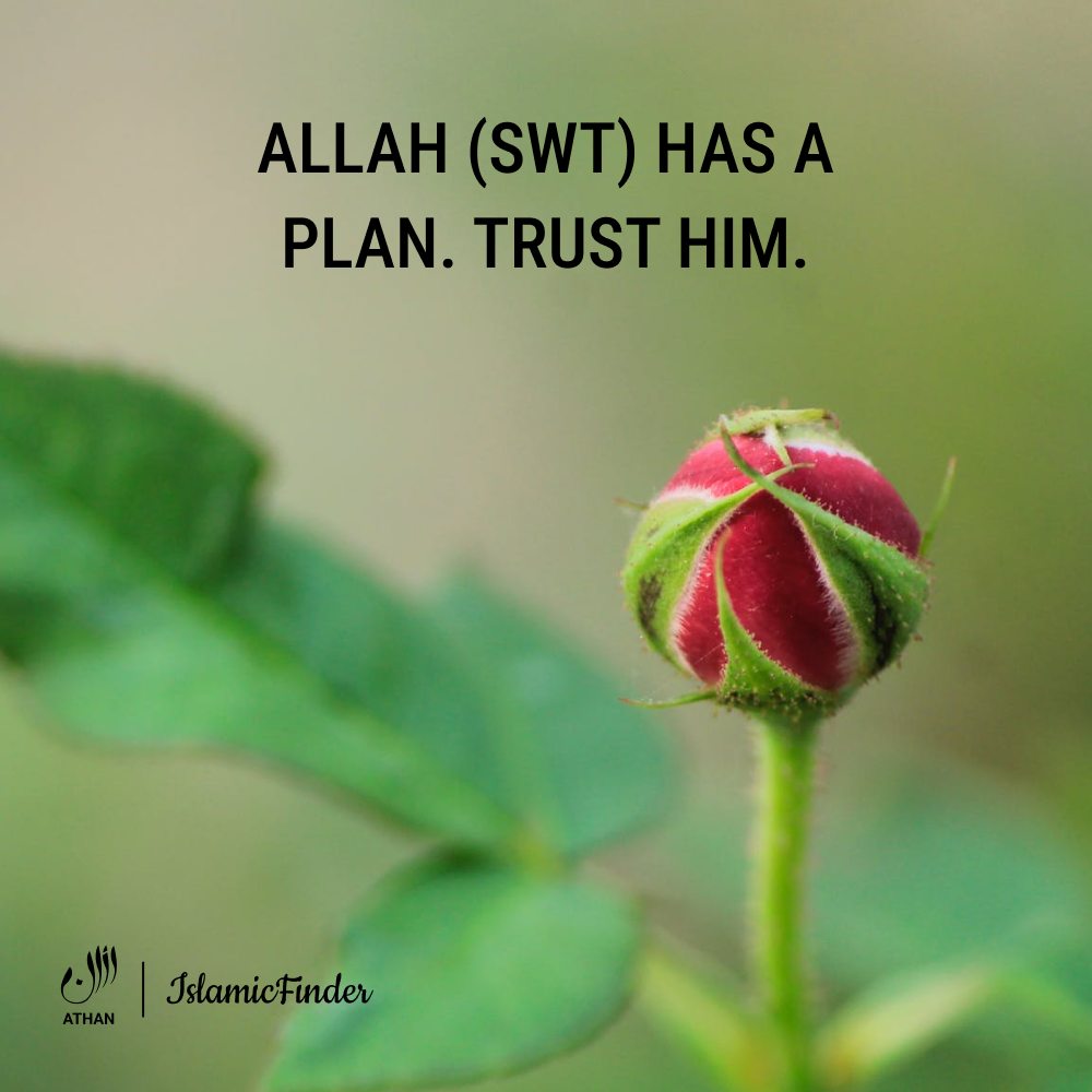 Trust Allah