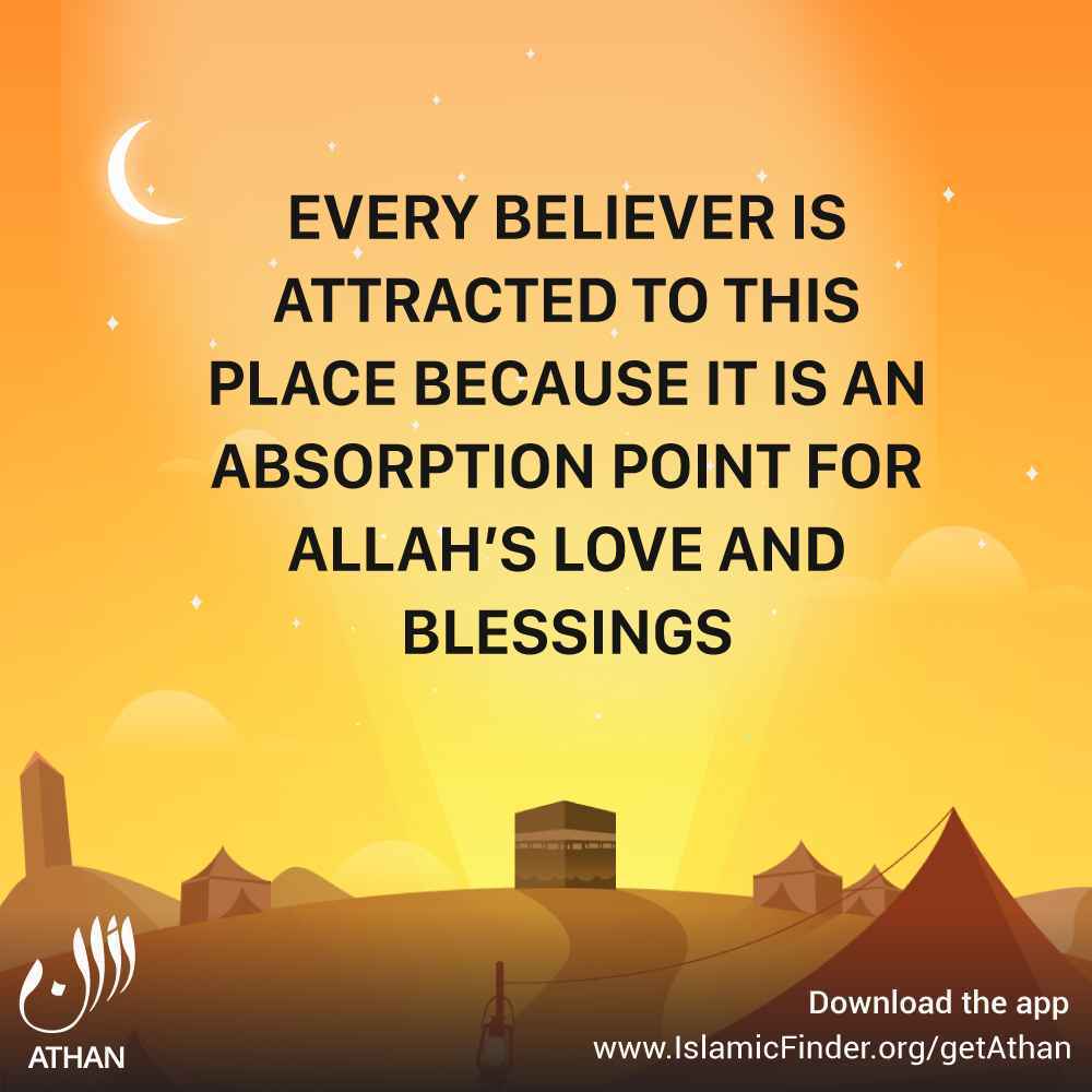 Believers delight in Allah's blessings