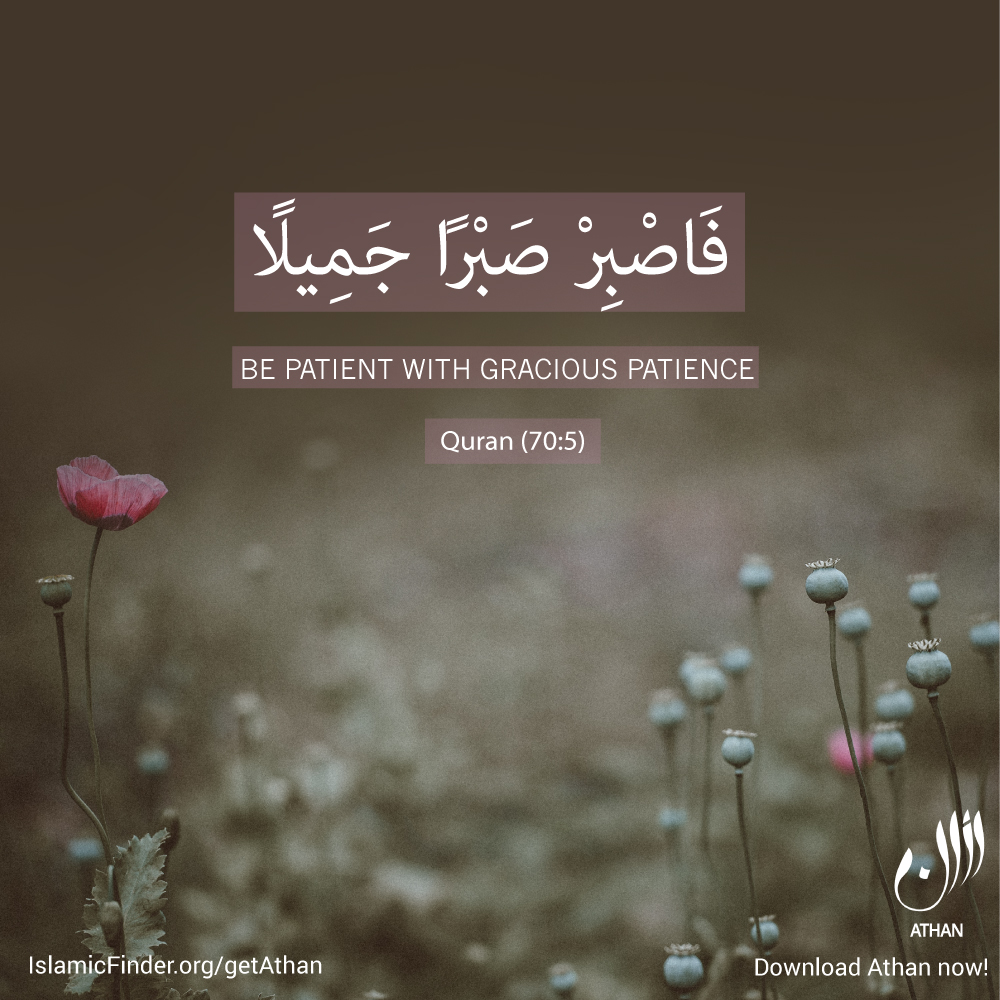 Patience is a virtue Image  IslamicFinder
