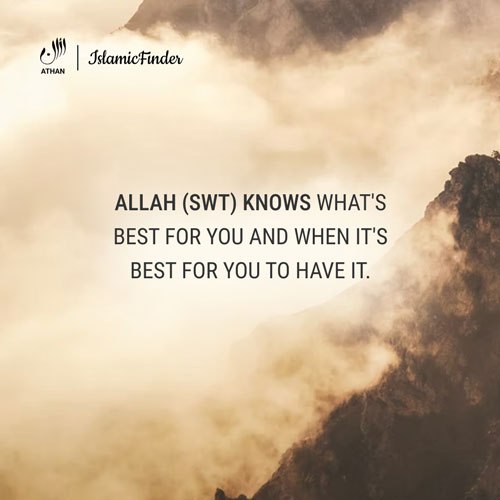 Trust Allah