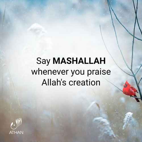 Allah is the Greatest!