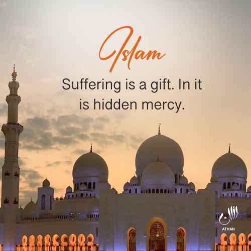 Suffering is a gift. In it is hidden mercy.