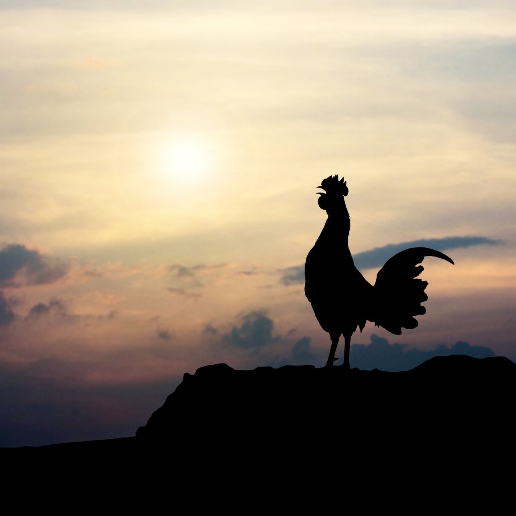 5-reasons-to-never-miss-the-fajr-prayer-islamicfinder