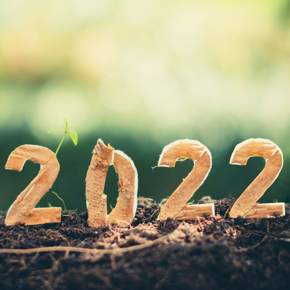 things-that-made-2022-a-good-year-for-muslims-islamicfinder