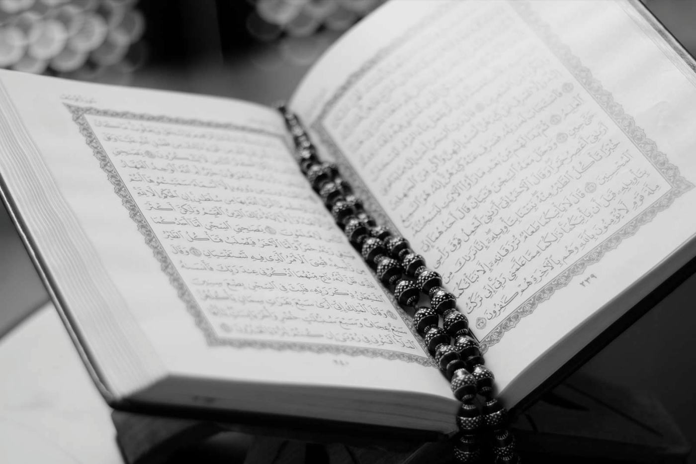Quran IslamicFinder IslamicFinder